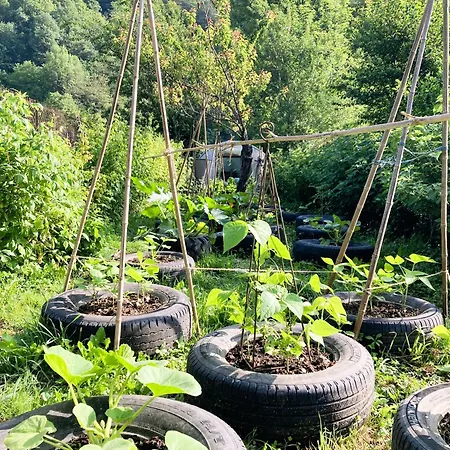 公寓 Esmeralda Biert