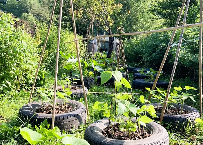 Lägenhet Esmeralda Biert